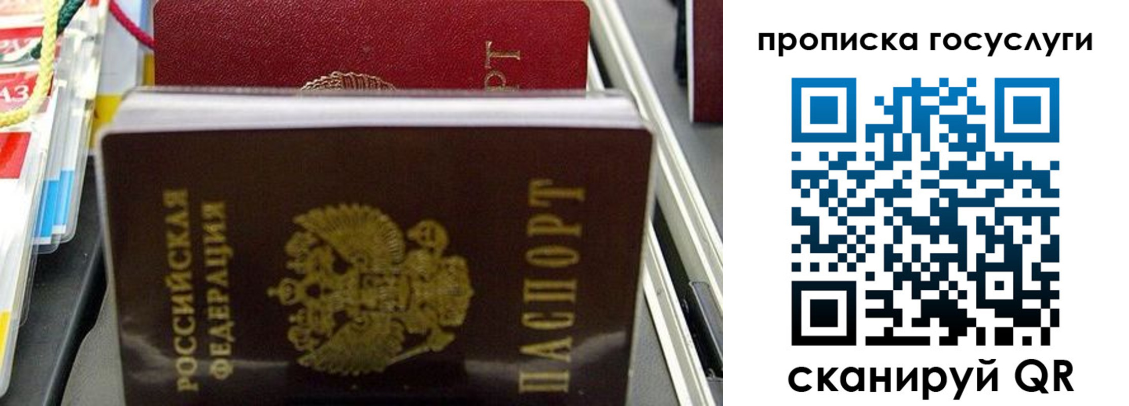 где прописаться в Зернограде